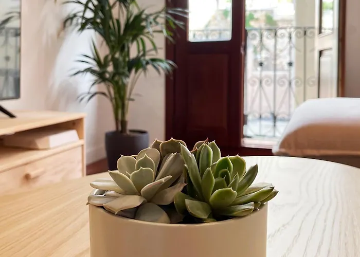 Apartman Casco Viejo *