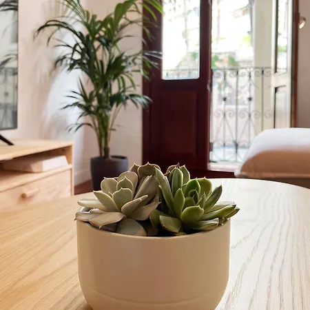 Apartman Casco Viejo *
